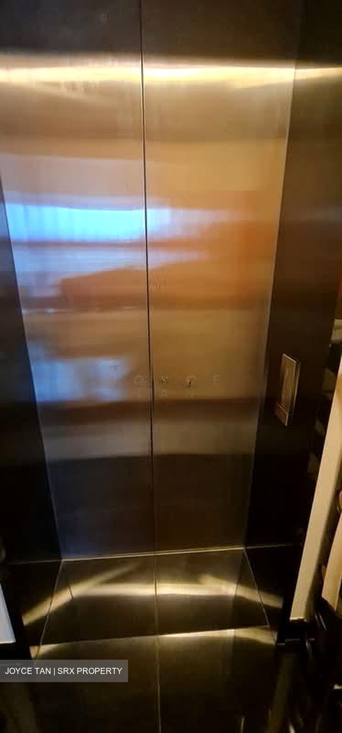 Park Infinia At Wee Nam (D11), Condominium #578233421